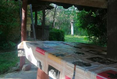 Casa de vanzare in Varadia de Mure? - 2