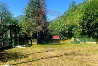 Casă cu 4 camere în Lepșa - 4