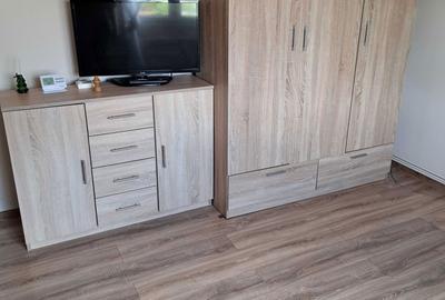 Garsonieră decomandată în Tudor - 3