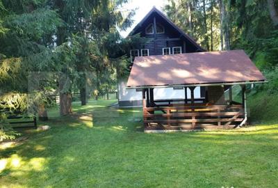 Casă cu 7 camere cu Teren 3200 Mp în Gârda de Sus - 14