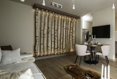 Apartament cu 2 camere semidecomandat în Lipovei - 3