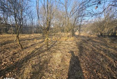 Casă cu 4 camere cu Teren 1000 Mp în Vâlcănești - 6