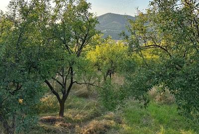 Teren intravilan 1.000 mp loca?ie deosebita, priveli?te ?i lini?te Simleu Silvaniei - 2