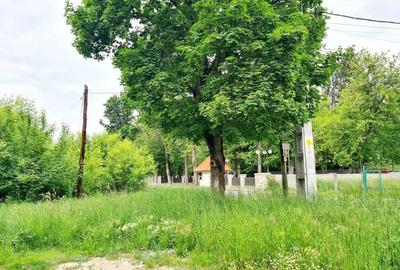 Teren de 5000 mp, în Vlădesti - 3
