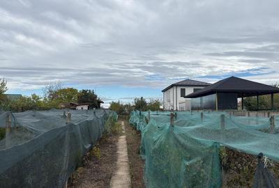 Spațiu comercial, în Cârcea - 7