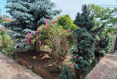 Casa, 3 camere, 693 mp teren, Lazuri - 2