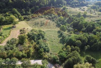 Teren Construcții de 16500 mp, în Măgureni - 6