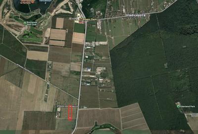 Teren de 5000 mp, în Săftica - 2