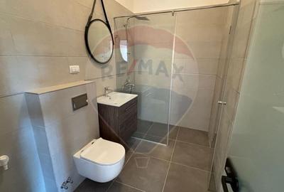 Spatiu de birouri de inchiriat - la casa cu 4 apartamente pe Racovita - 25