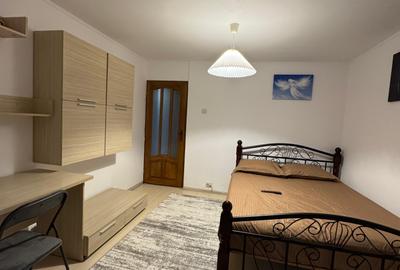 Apartament cu 2 camere decomandat în Craiovița Nouă - 3