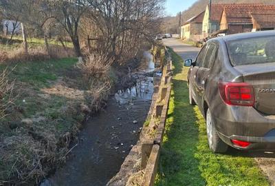 Teren de 3140 mp, în Petriș - 4