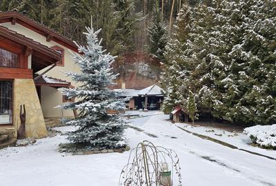 Vilă de lux cu 4 camere de vânzare în Câmpulung Moldovenesc, Suceava - 50