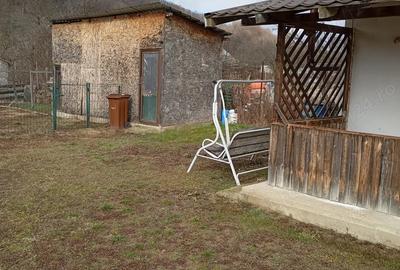 Casă cu 1 camere cu Teren 1000 Mp în Băbana - 1