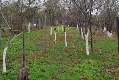 Casă cu Teren 590 Mp în Central - 7