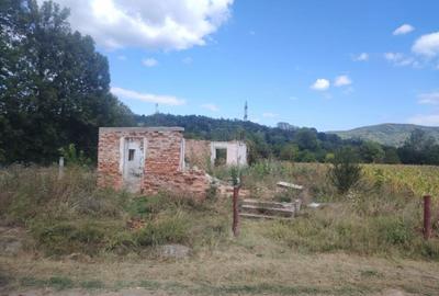 Teren de 2000 mp, în Bunești - 3