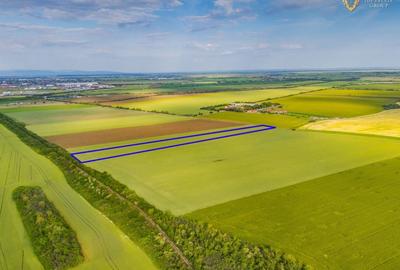Teren agricol extravilan de 44900 mp, în Aradul Nou - 4