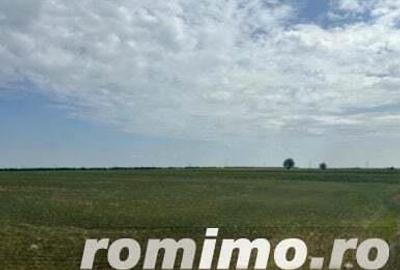 Cota 1/4 teren extravilan Gheraseni, jud. Buzau - R2070447 - 4