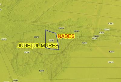 Teren agricol extravilan de 23700 mp, în Nadeș - 2