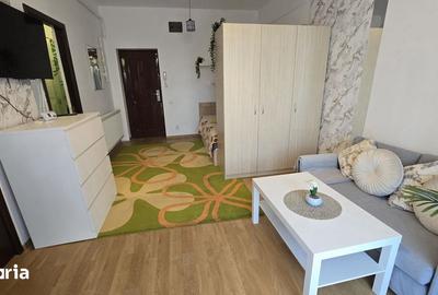 Garsonieră în Valea Oltului - 4
