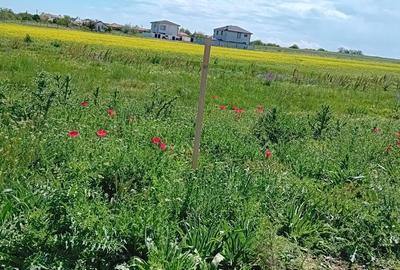 Teren de 1000 mp, în Exterior Vest - 2