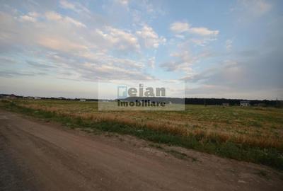 Snagov Ghermanesti - Teren 1637 Mp, Deschidere 19 M, Toate Utilitatile - 5