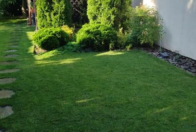 Casă individuală cu 2 camere cu Teren 800 Mp în Fratelia - 15