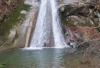 Casă cu 3 camere în Central - 1