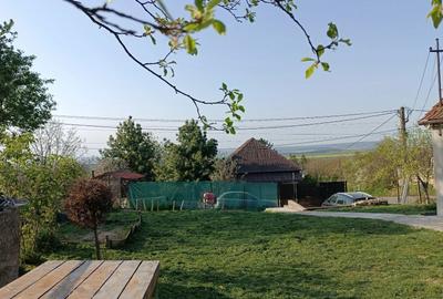 Casă cu 1 camere în Șișterea - 3