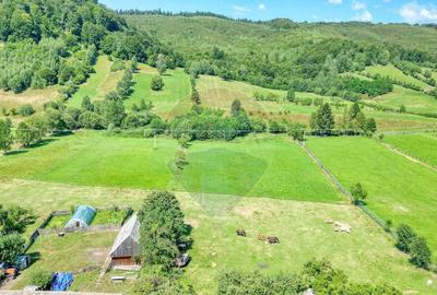 Teren de 7255 mp, în Vama Buzăului