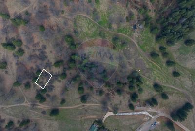 Teren Construcții intravilan de 1000 mp, în Poiana Brașov - 7