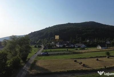 Teren de 5886 mp, în Bucșoaia - 13