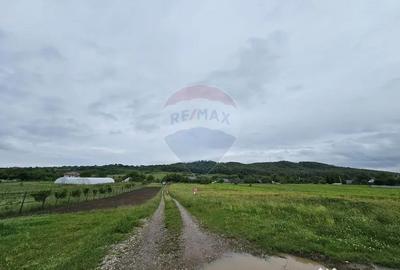 Teren de 1495 mp, în Dobreni - 9