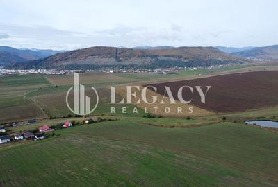 Teren intravilan 10.000 mp Gârcina lângă Sala Polivalenta Piatra Neamț - 8