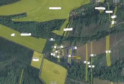 Teren extravilan arabil loc. Prunisor, jud. Mehedinti - 3