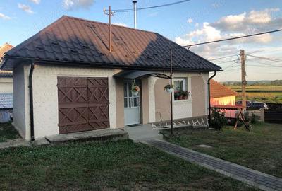 Vand casa in localitatea Sabisa - 7