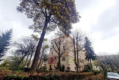 Cartierul Florilor, imobil renovabil, etaj intermediar, zona linistita, Brasov - 6