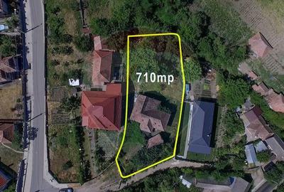 Casa cu gradina de vanzare in Copaceni - 2