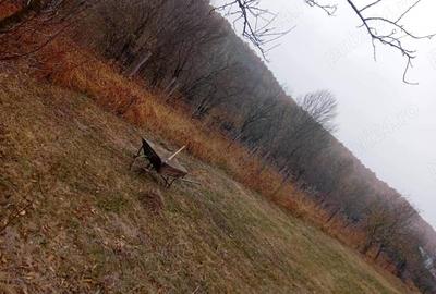 Casa de vanzare in com. Stoina, sat Paisani, jud, Gorj Casa de vanzare in com. Stoina, sat Paisani, jud, Gorj - 3