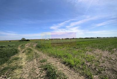 Teren Construcții intravilan de 2200 mp, în Dărăști-Ilfov - 15