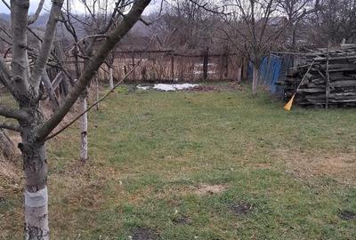 Casă în Central - 5