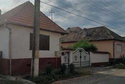 Casa de vanzare - 10