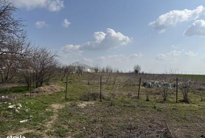 Teren de 4990 mp, în Frumușani - 4