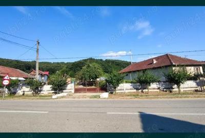 Casă cu 2 camere cu Teren 3623 Mp în Țicleni