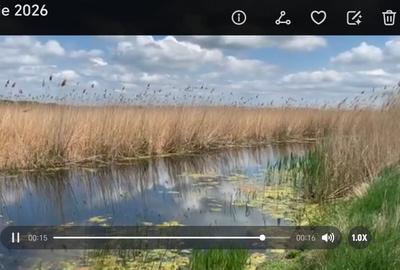 Teren agricol extravilan de 10 mp, în Mahmudia - 1