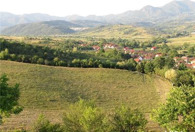 Teren de 18000 mp, în Bârsău - 4