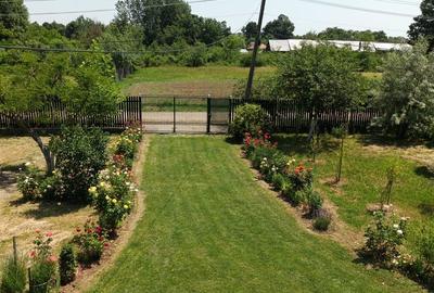 Casă cu 5 camere cu Teren 6000 Mp în Bârla - 1