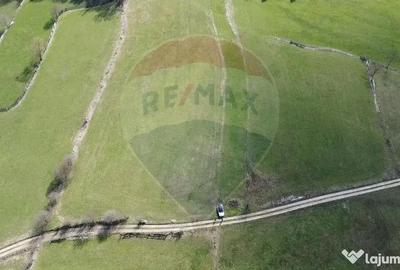Teren de 9202 mp, în Mănăstirea Humorului - 3