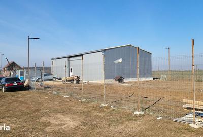 Spațiu comercial, de 175 mp, în Brănești - 4