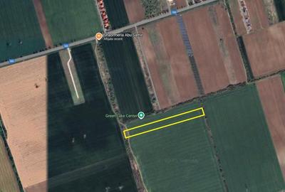 Teren Caciulati / 10.000 mp / D: 28 m / comision 0% Teren Caciulati / 10.000 mp / D: 28 m / comision 0% - 2