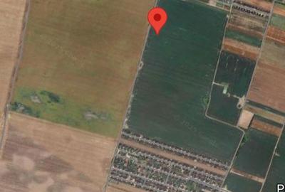 Spațiu comercial, în Balotești - 3